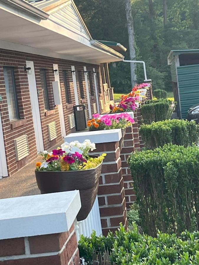 Motel Pinetree 2*