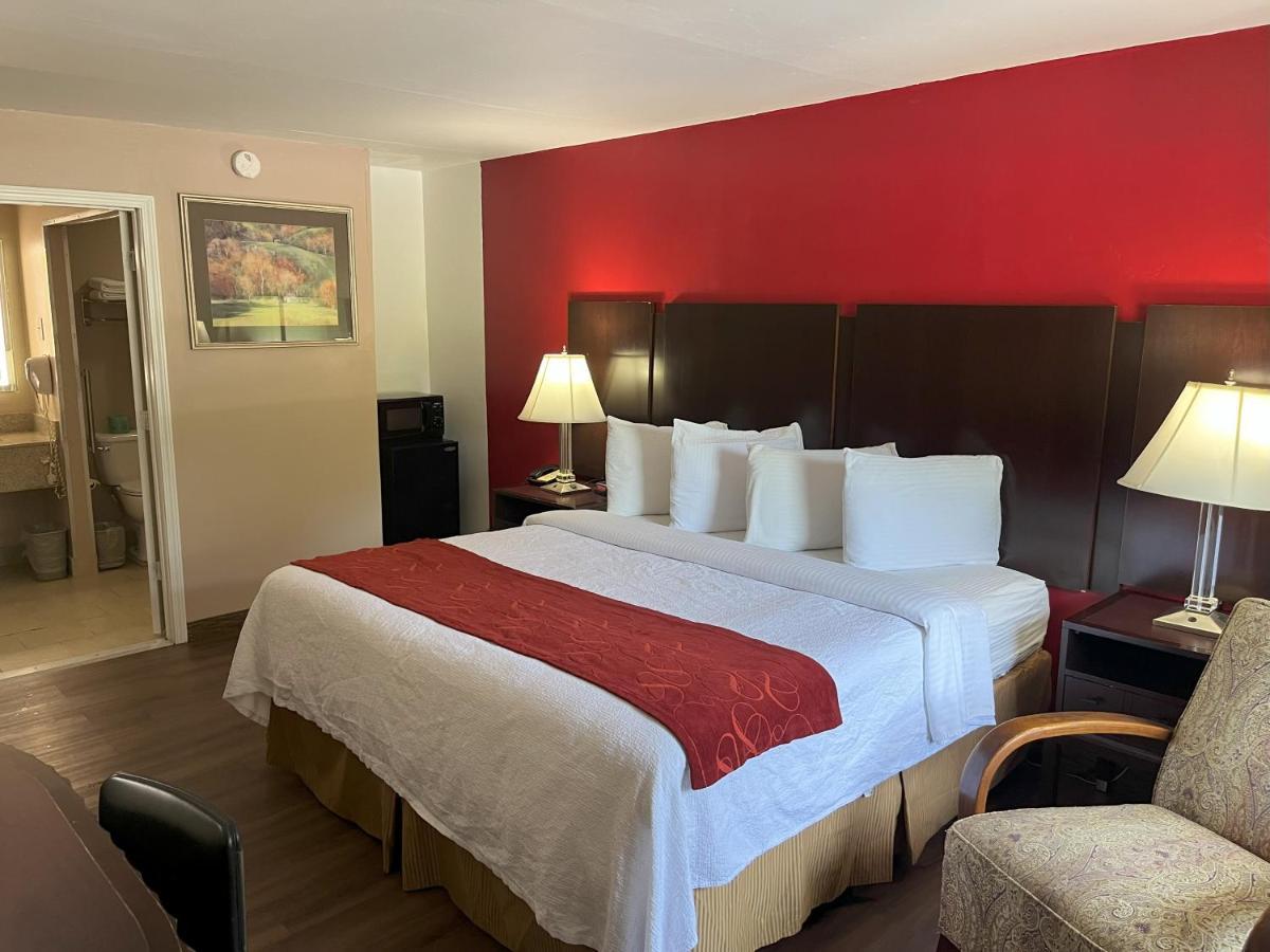 Pinetree Motel