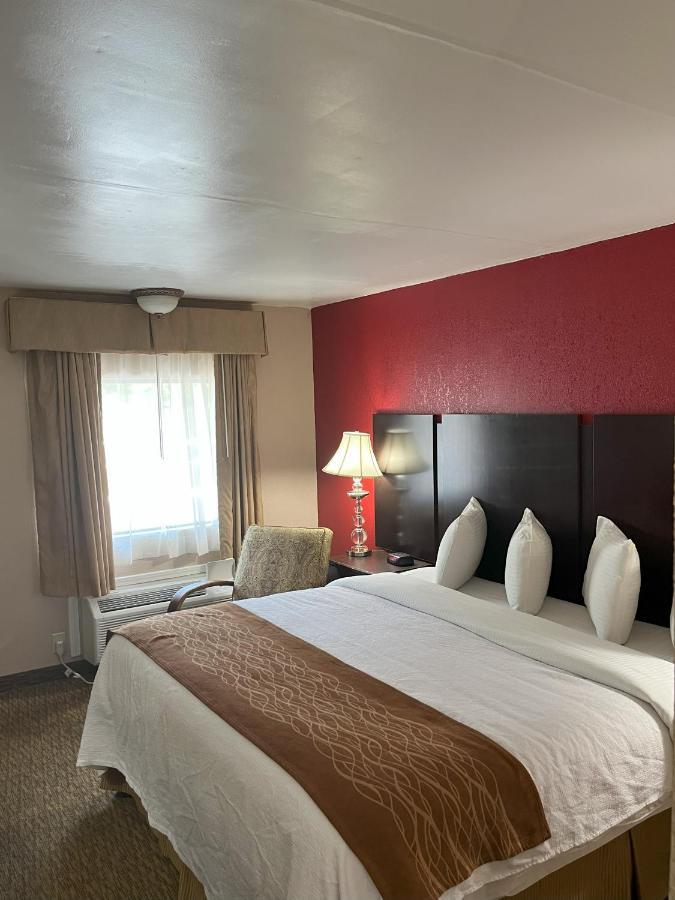 Pinetree Motel 2*