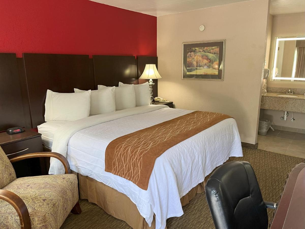 Pinetree Motel 2*